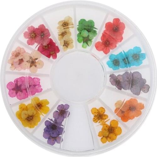 2016 New 3D Nail Art 12 Colors Dry Flower 6.5mm UV Gel Nails DIY Stickers