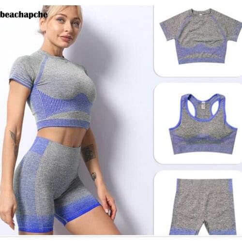 Beachapche 3 Pcs Yoga Sets Women Seamless Shorts High Waisted Sports Pants Outdoor Biker Leggings Women Sports Gym Set