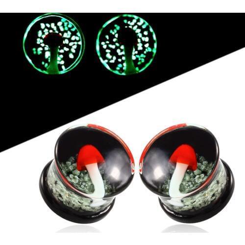 1Pair Pyrex Glass Ear Plugs and Tunnels Earring Gauges Expander Stretcher Cartilage Tragus Plugs Tunnel Piercing Body Jewelry