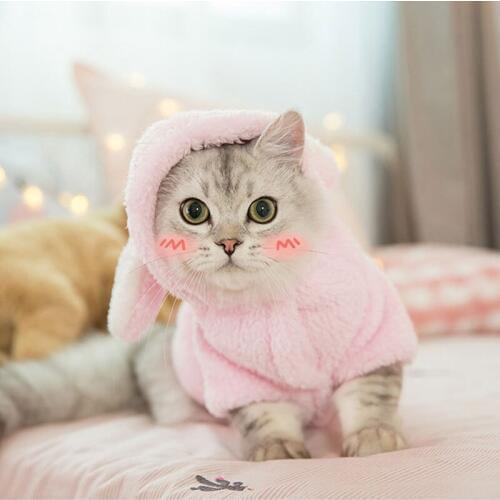 Pet Clothes For Cat Clothing Winter Pet Cat Clothes Cats Coat Jacket Pets Clothing for Kitty Cat Dog Clothes Animals Outfit