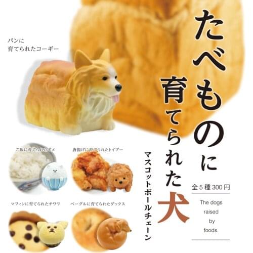 Japan QUALIA Gashapon Capsule Toys Poodle Meal Golden Retriever Corgi Pendant Pendant Dog Dog Turns Into Food