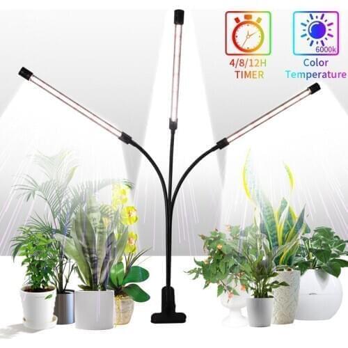 CHENGYILT Phytolamps For Plants