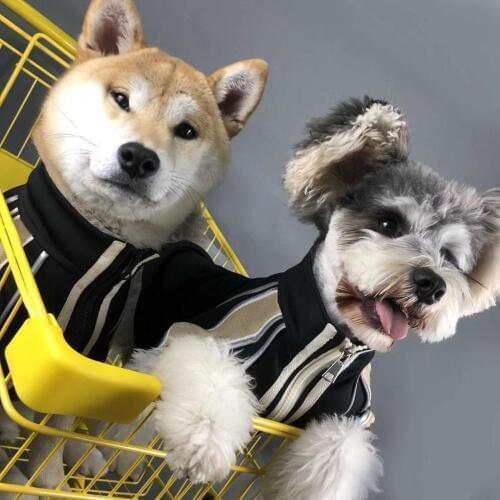 Fashion Dog Reflective Jacket Jersey Coat Clothes Pet Hoodie Sweater French Bulldog Pug Schnauzer Teddy Dropshipping YHC31