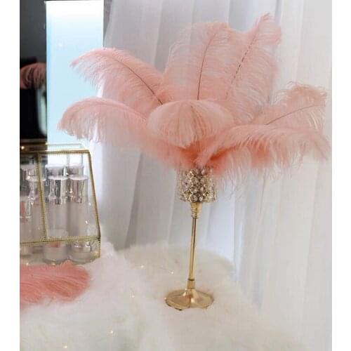 50PC Champagne Pink Natural Ostrich Feathers for Craft 15-60cm 6-24 inch Wedding Party Supplies Carnival Dancer Decoration Pluma
