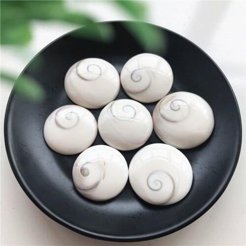 2pcs/lot Natural Heart Shaped Sun Shell Love DIY Mineral Specimen Collection Decoration