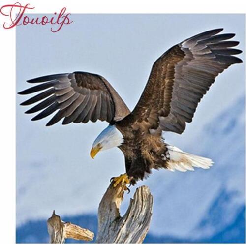 5d DIY Diamond Painting square Diamond Embroidery De Sterke Klauw Painting rhinestones mosaic pattern Kitchen decoration