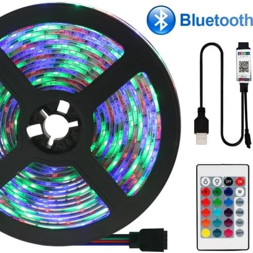 Led Strip Lights SMD2835 Neon Stripe 5V Luces Led Flexible Bluetooth TV Background Lighting RGB Tape Ribbon Diode USB Neon Light