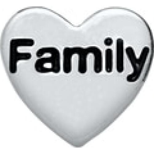 Hot selling 50pcs/lot silver Family floating charms living glass memory floating lockets diy jewelry pendant