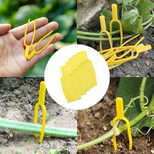 50/100PCS Plant Vine Fixer Vines Fastener Tied Clips Plastic Gardening Plant Fixing Clip Buckle Hook Garden Plant Vegetable Clip