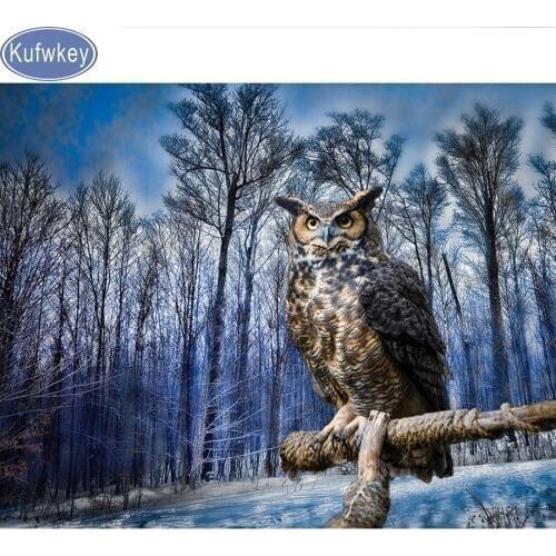 Needlework 5D Diy Diamond Painting owl,Cross Stitch,Needlework Home Decorative Full Square Diamond Embroidery owl 3d picture