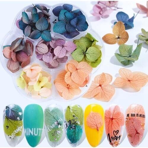 1Box Mix Dried Flowers Nail Decorations Jewelry Natural Floral Leaf Stickers 3D Nail Art Designs Polish Manicure Accessories