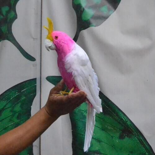New simulation pink parrot toy polyethylene & furs parrot modelgift about 40cm 1693