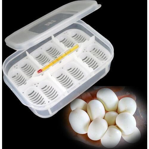 12 Holes Reptile E-gg Incubation Tray Gecko Lizard Snake E-ggs Incubation Tool Insect keeping box