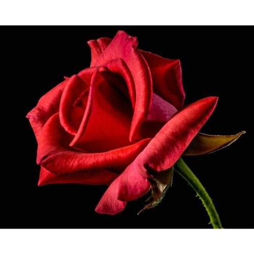 Red flower diamond embroidery stickers full square round diamond painting diy mosaic handmade 5d Cross stitch rose images