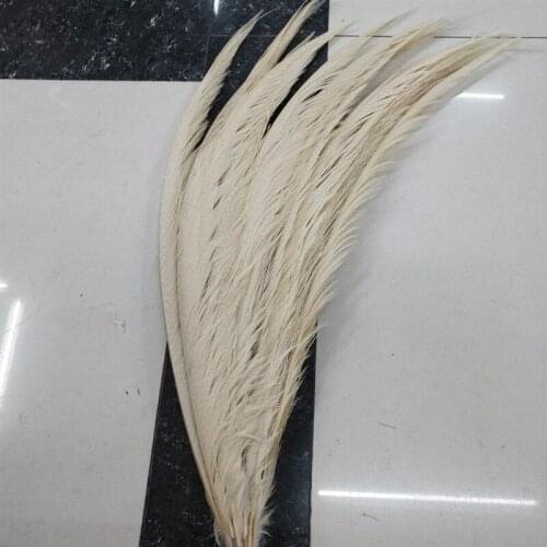 Beautiful white pheasant cover tail feathers 50 pcs long 65-70 cm DIY stage celebration decoration