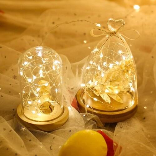 Battery Powered Wine Bottle Lights 1M/2M/3M/5M LED Copper Wire Colorful Fairy Lights String for Party Wedding Indoor Decor