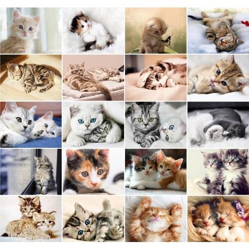 AZQSD Oil Painting By Number Cat Animal Handpainted Modern Wall Art Paint By Numbers Handmade Room Decoration