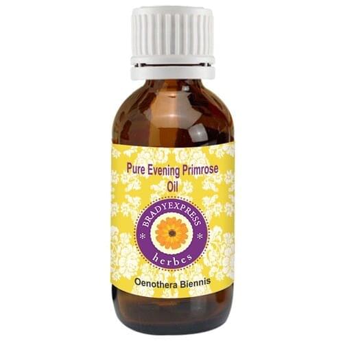FRee Shipping Pure Evening Primrose Oil Oenothera biennis 100% Natural Undiluted Therapeutic 5ML