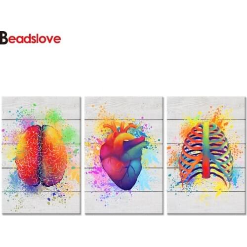 Diy Diamond Painting Humain Barin Anatomical Heart Thorax Abstract Science Colorful mosaic full diamond embroidery 3pcs Clinic