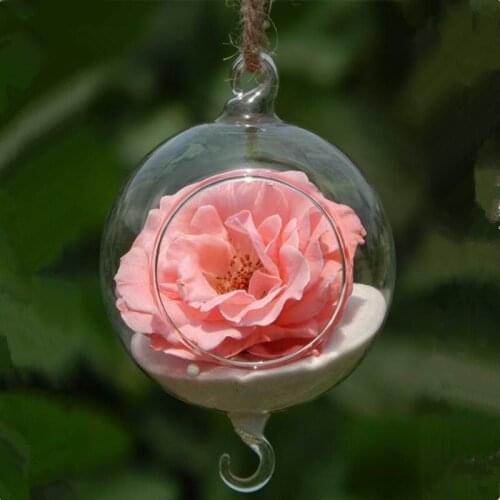 Diameter=12cm Double Hock Glass Globe Vase Glass Terrarium with open or hole Wedding Decorative Hanging Glass Decorative