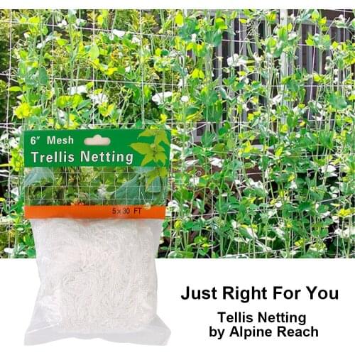 Multi Use Heavy-Duty Polyester Net Accessories Plant Trellis Netting Plant Support Vine Climbing Hydroponics Garden