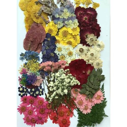 250pcs Assorted Pressed Dried Flowers&Leaf Plant Herbarium For Jewelry Bookmark Phone Case Scrapbook Candle DIY Art&Craft Making