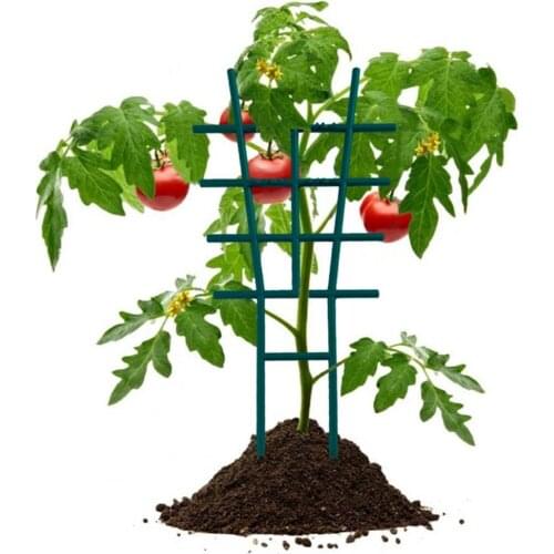 Plant Support Rack Practical Corrosion-resistance Plastic Garden Growth Stake Arms Stand for Outdoor