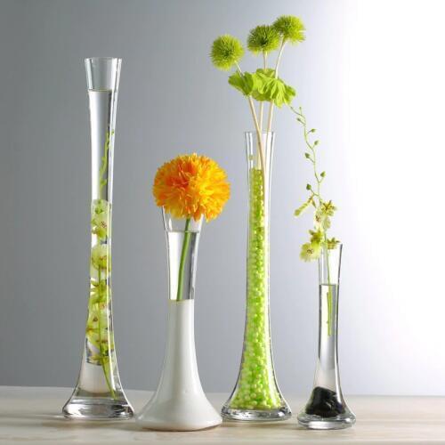 GIEMZA Glass Flower Vases