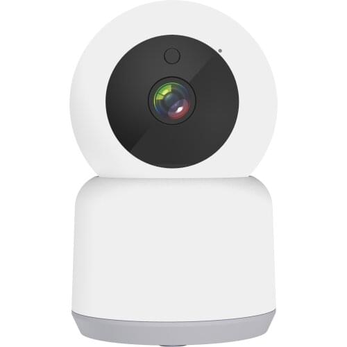 Whalecam CCTV Cameras With Motion Sensor