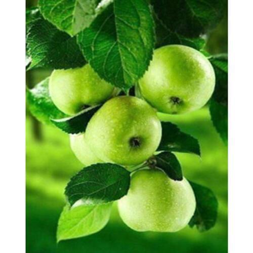 5D DIY Full Square/Round Diamond Painting Green Apple Embroidery Cross Stitch Rhinestone Mosaic Home Decor