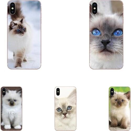 Lovely Ragdoll Kitten Cat Pet Soft TPU Protector For Xiaomi Mi note 9 10 mi10 mi9 mi8 pro lite SE Mi A1 A2 A3 CC9 CC9E 9T