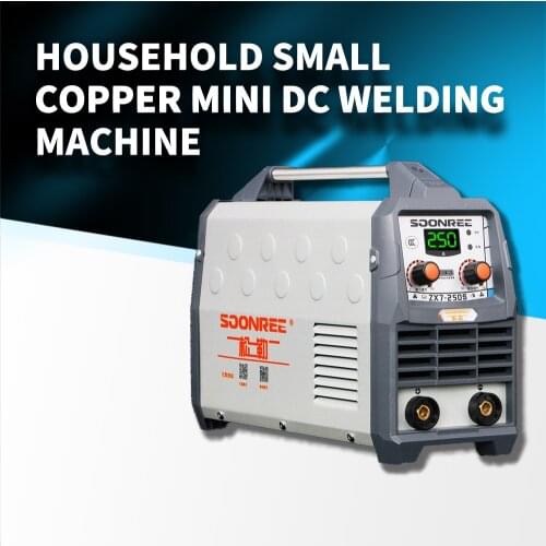 Portable Tig Welder 220V Power WS-200A 250A Pulse Tig Arc 2 In 1 Professional Tig Argon Gas Welding Tig Welding Machine