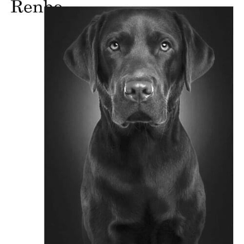 5D Diamond Painting Labrador Picture Full Square Drill DIY Diamond Embroidery Mosaic Sale Animals Pet Dog Rhinestone Home Decor