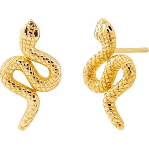 Animal Snake-Shaped Stud Earrings 925 Sterling Silver Ear Needle European American Style Fashion Jewelry For Women Birthday Gift