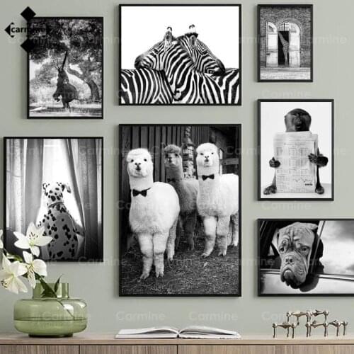 Alpaca Zebra Bulldog Baboon Animals Photo Wall Art Canvas Painting Black and White Wall Pictures Frameless for Living Room Decor