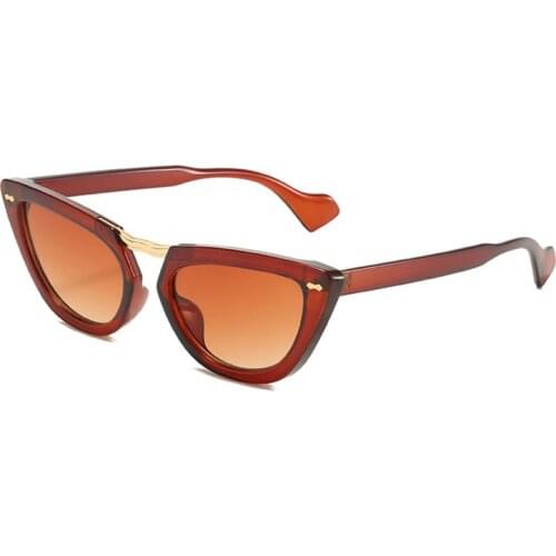 Casual Cat Eye Sunglasses Women Eyewear Vintage Cateye Eyeglasses UV400 Sun Glasses Female Shades Oculos