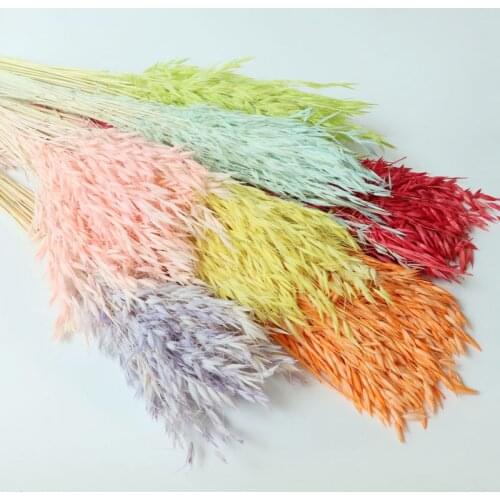 10Pcs Dried Natural Plant Oats Branch Real Dry Flower Bouquet Wedding Supplies Decoration Christmas Home Living Room Decor