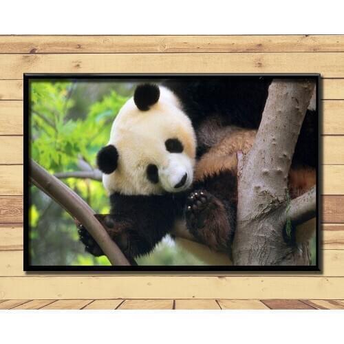 Giant Pandas Lovely And Valuable Animal (11) Wall Posters Prints Silk Art Painting For Home Wall Bedroom Decor