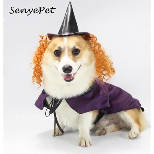 Pet Halloween Cosplay Costume Pet Dog Halloween Costume Pet Witch Ponchos and Hat for Small Medium Large Dog