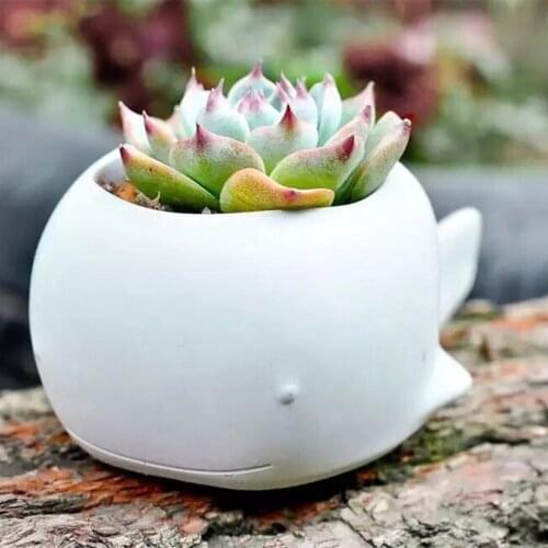 Whale Cement Flowerpot Silicone Mold Succulent Potted Silicone Mould Diy Homemade Flowerpot Mold