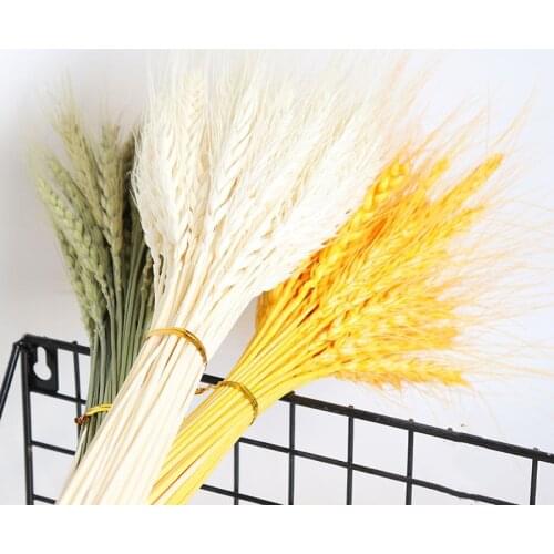 50Pcs Diy Home Decoration Wheat Bouquet Photo Props Real Wheat Natural Dried Flowers Wedding Party Decoration Flower Bouquet