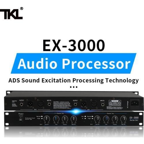 TKL 2 channels Sound Audio Exciter Processor speaker management pro audio processor protea pro stage audio equipment