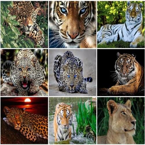 GATYZTORY Painting By Numbers Animals DIY Oil Paint By Numbers On Canvas Lions Tiger 40x50cm Frameless Draw Numbers Home Decor