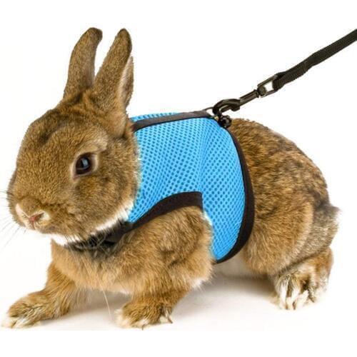 Rabbit Guinea Pig Hamster Pet Harness Vest Mesh Chest Strap with Traction Leash Pet Products