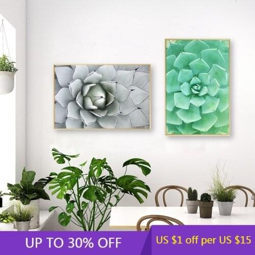 Agave Leaves Print Large Century Plant in Landscaped Flower Bed Poster Succulent Botanical Wall Art Canvas Painting Home Decor