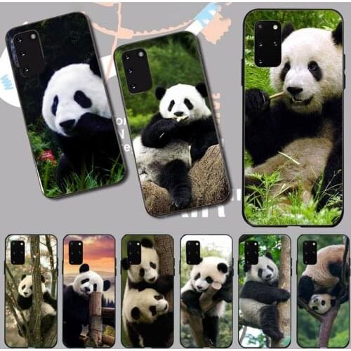 Animal panda Phone Case For Samsung A32 A51 A52 A71 A50 A12 A21S S10 S20 S21 Plus Fe Ultra