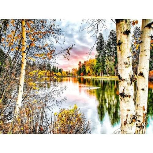 CraftArtGo 5D DIY Diamond Embroidery White Birch Full Square Round Rhinestone Mosaic Painting Cross Stitch Flowers Diamond Kit