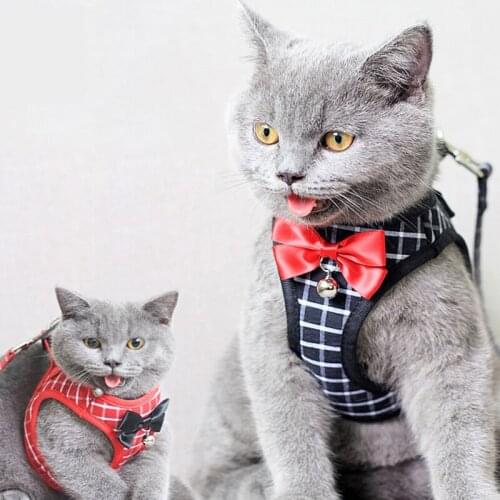 Collar for Cats Seat Belt Cat Pet Tie Specially Collarchest Rope Personality Fashion Chest and Back Traction Rope Dog Supplies