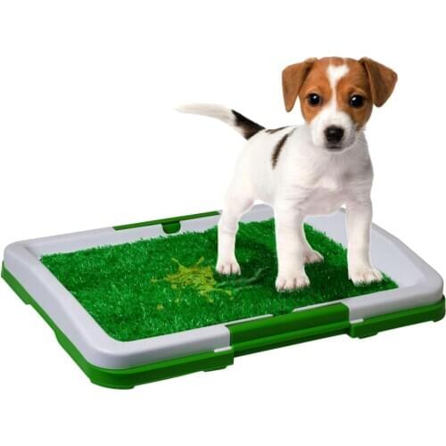 Puppy Dog Toilet Training Kit-Puppy Potty Pad