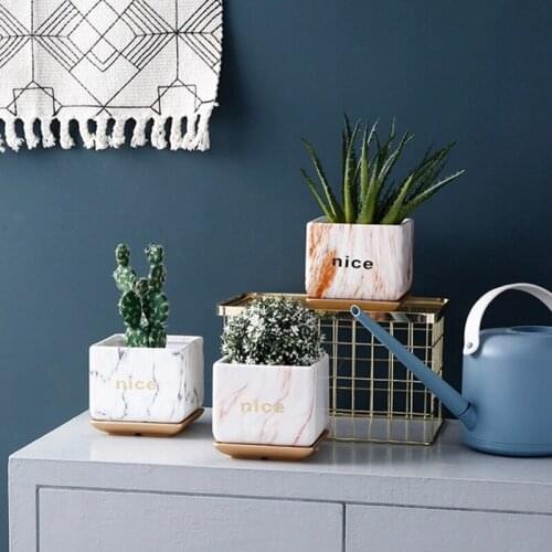 Nordic Wind Light Ceramic Large Square Basin With Tray Simple Personality Luxury Marbling Green Plant Rich Tree Fleshy Flowerpot